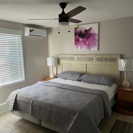 Near French Quarter Nice Two Bedrooms+ New Orleans Exteriör bild